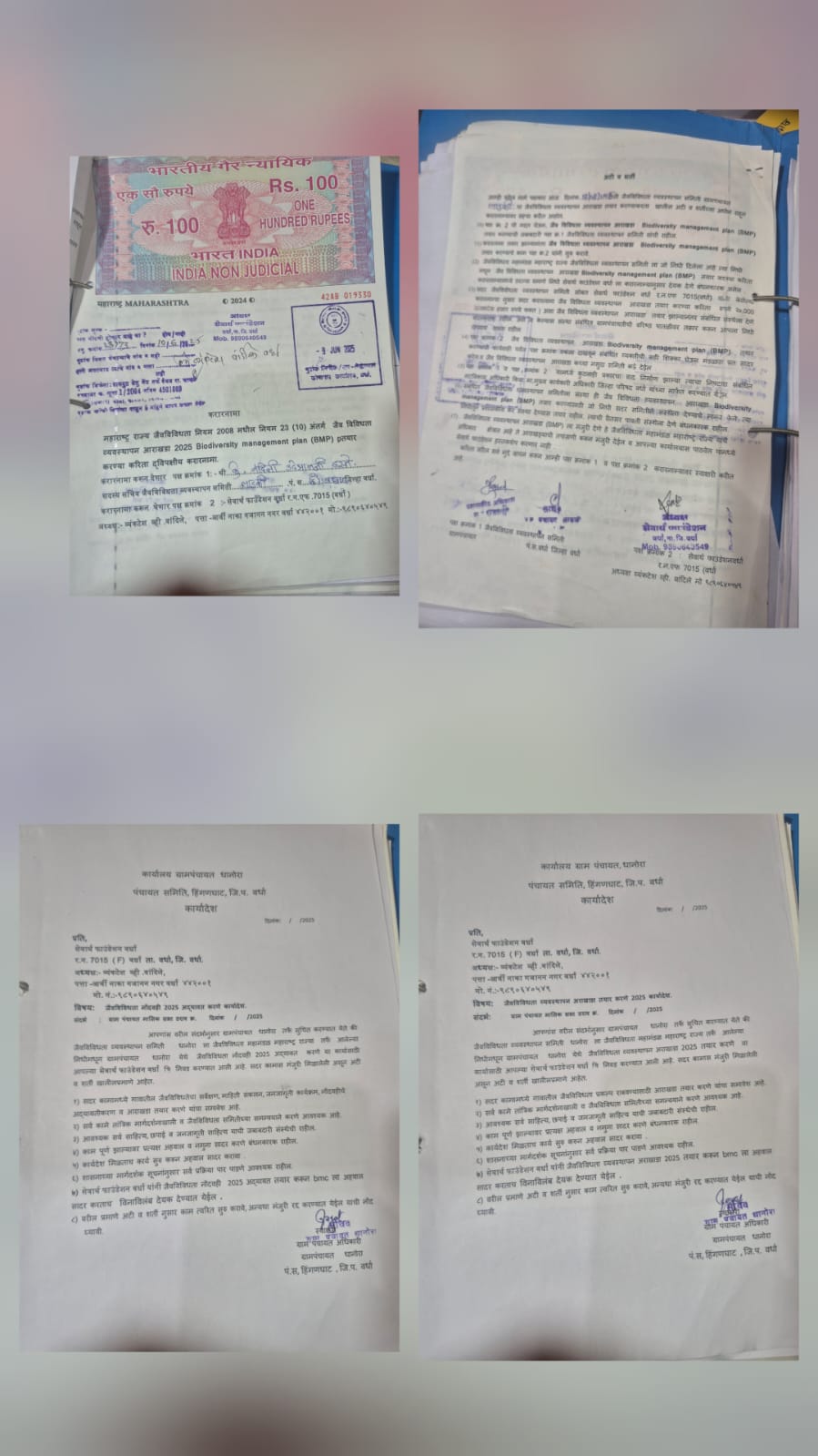 Biodiversity work order 7